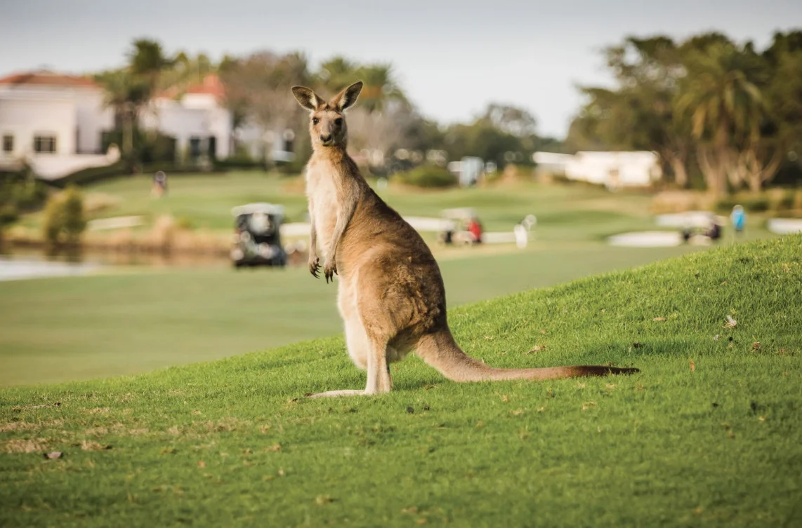 Additional image 8 of Hope Island QLD 4212