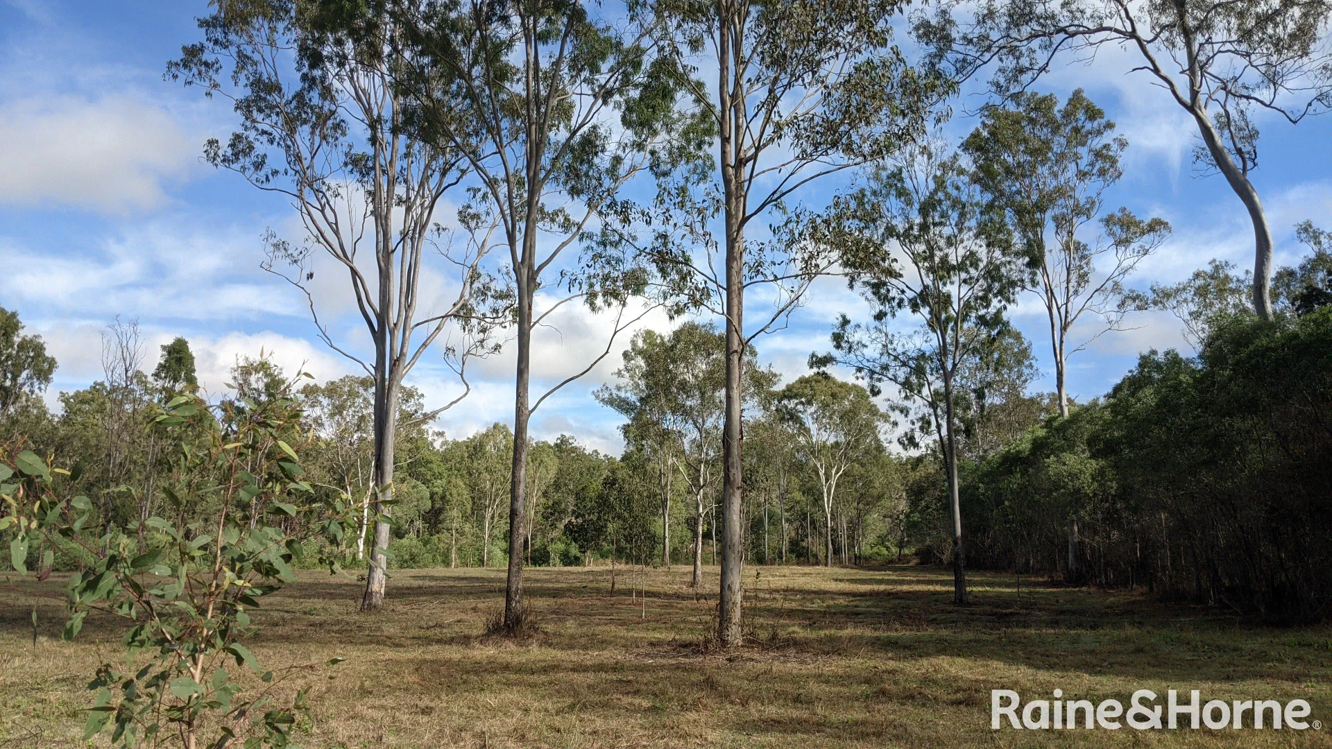 Additional image 27 of Lot 38 Tenningering Road, Good Night QLD 4671