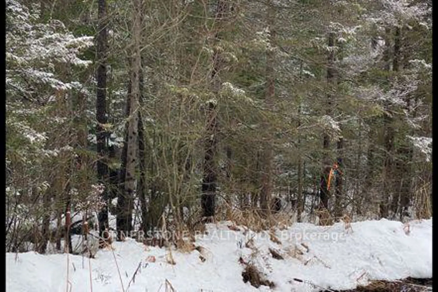 12 Edgar/Station Road Street