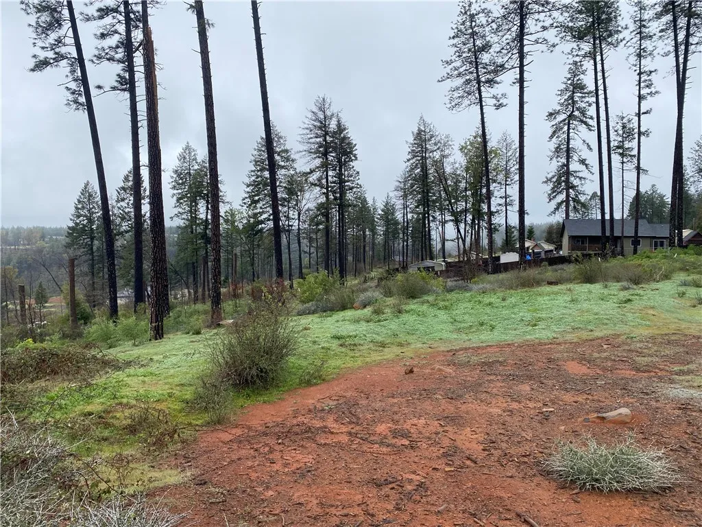 Additional image 34 of 8941 Skyway, Paradise, CA 95969