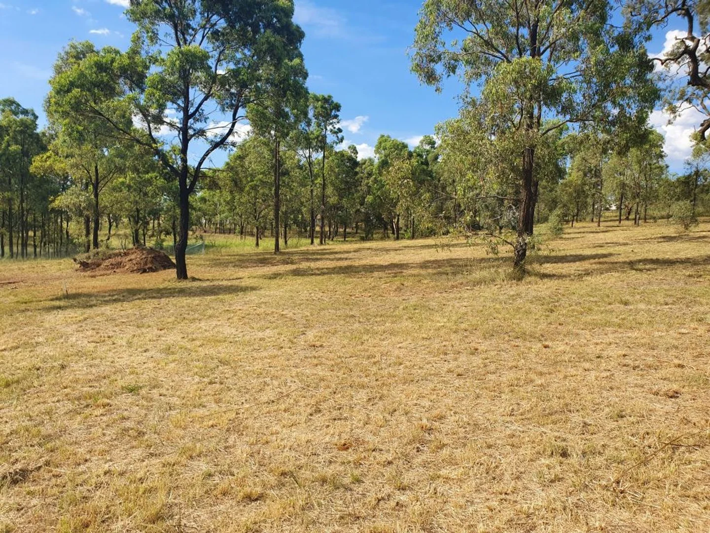Additional image 4 of 14 Stockyard Parade, Muswellbrook NSW 2333
