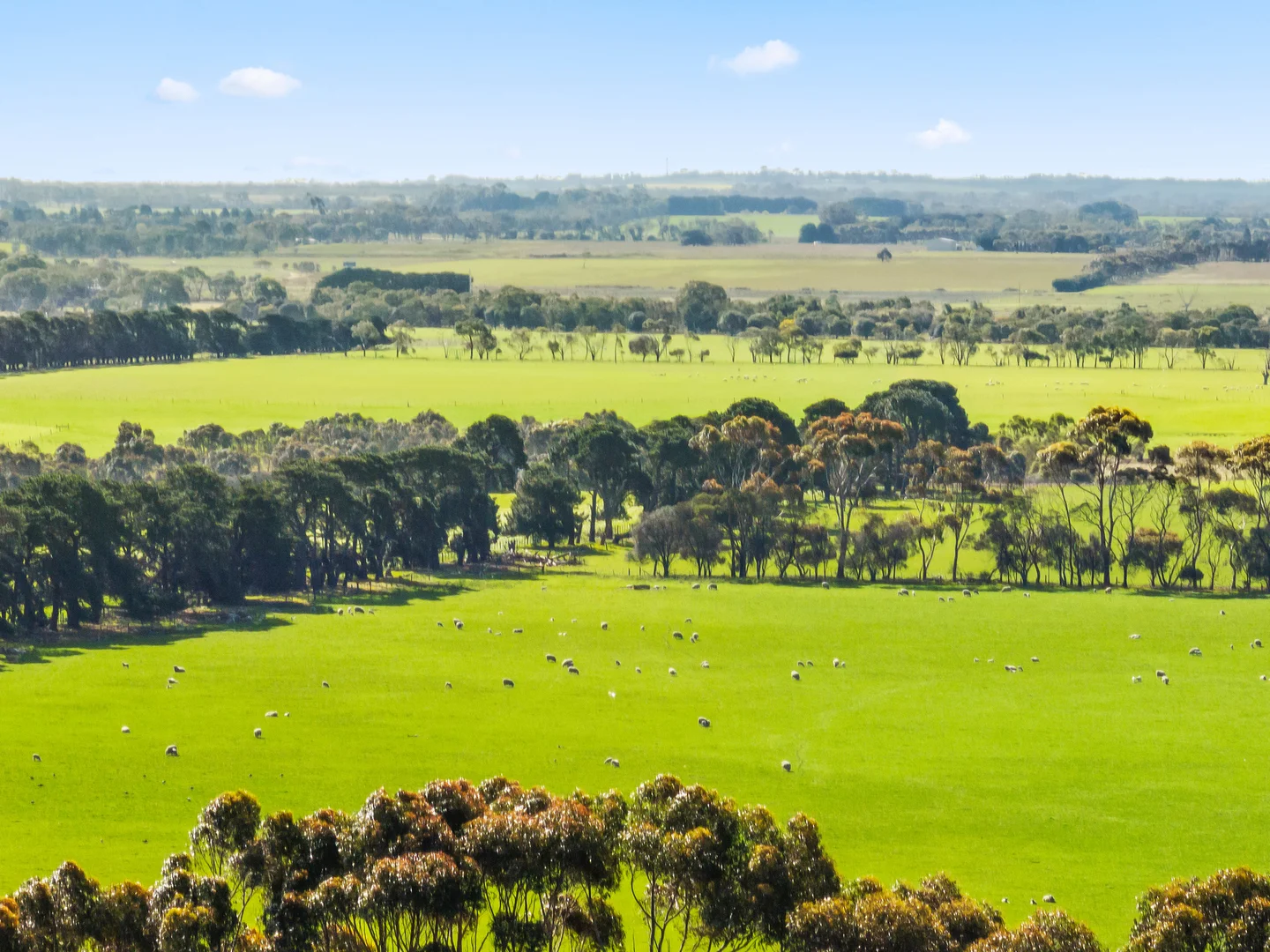 Additional image 4 of 680 Ghazeepore Road, Freshwater Creek VIC 3217