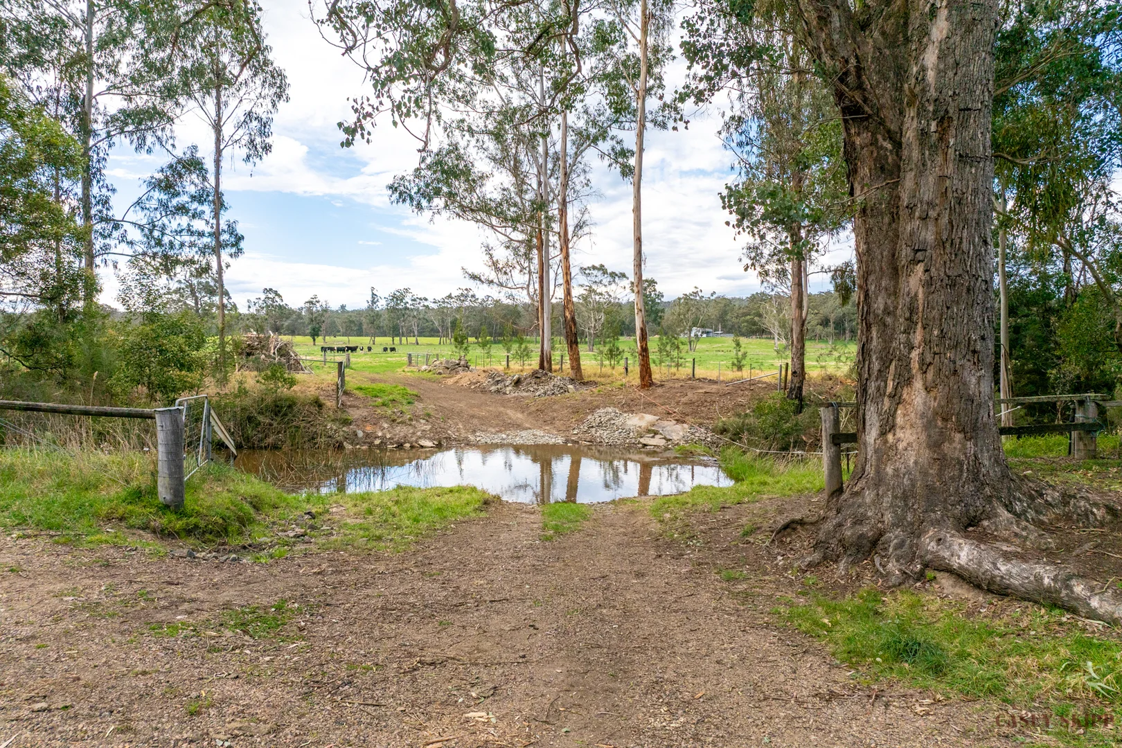 Additional image 19 of 366 Wairewa Road, Wairewa VIC 3887