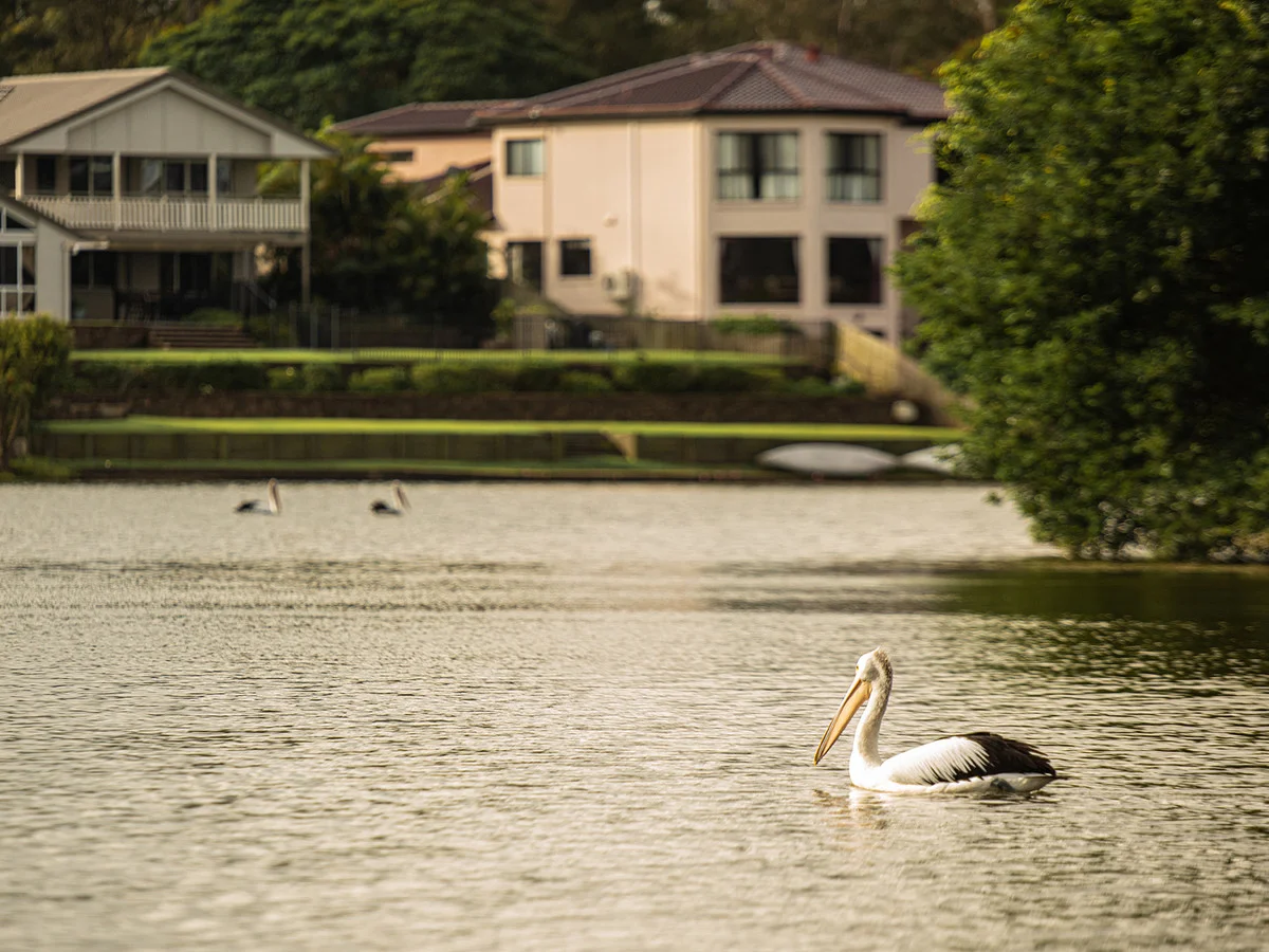 Additional image 39 of 23 Baikal Place, Westlake QLD 4074