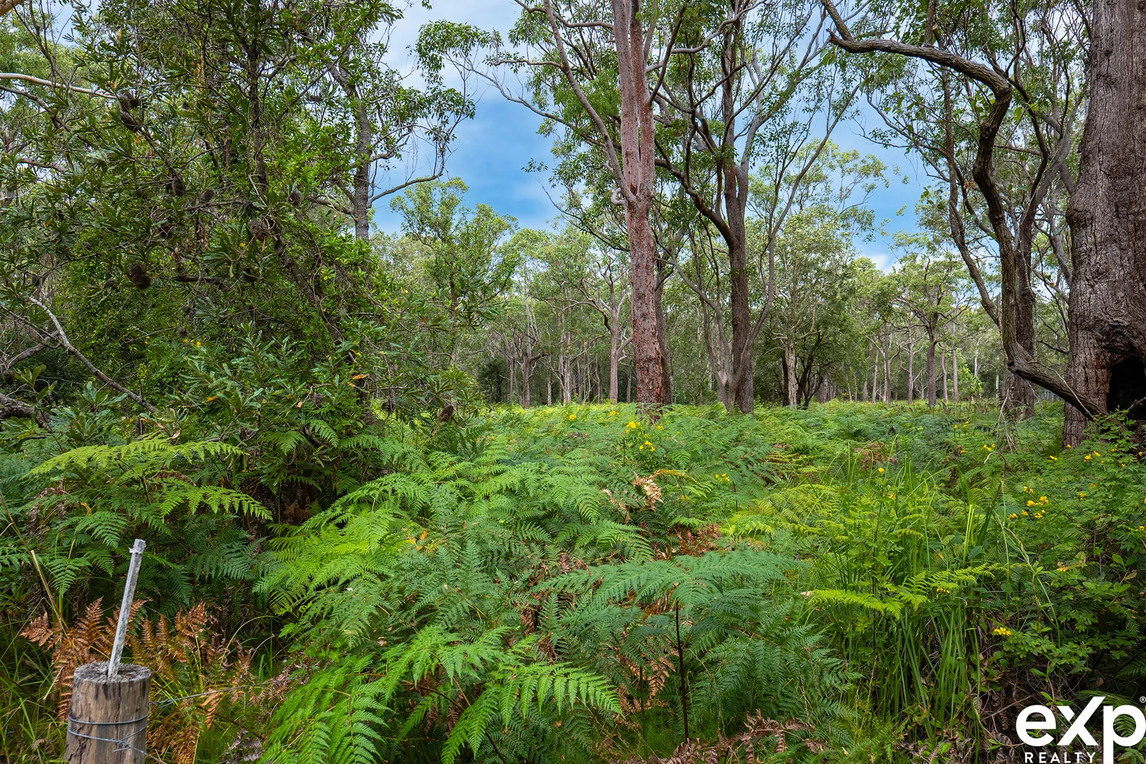 Additional image 8 of 9-13 Koree Street, Pindimar NSW 2324