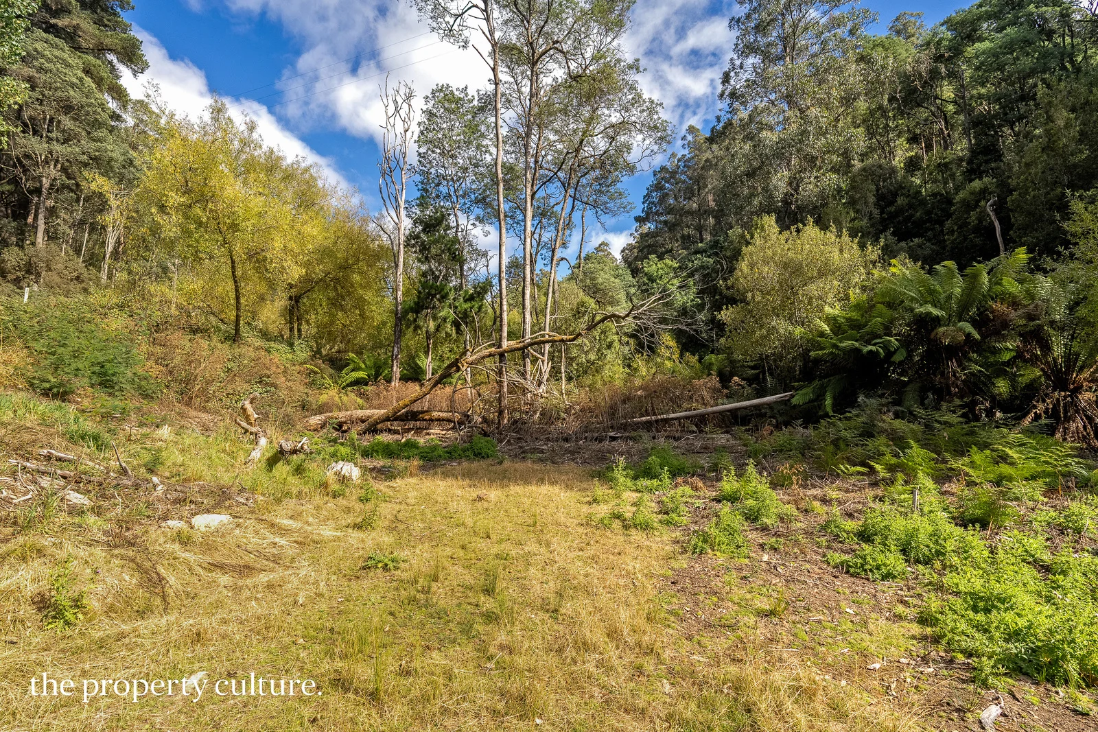 Additional image 14 of 126 New Road, Franklin TAS 7113