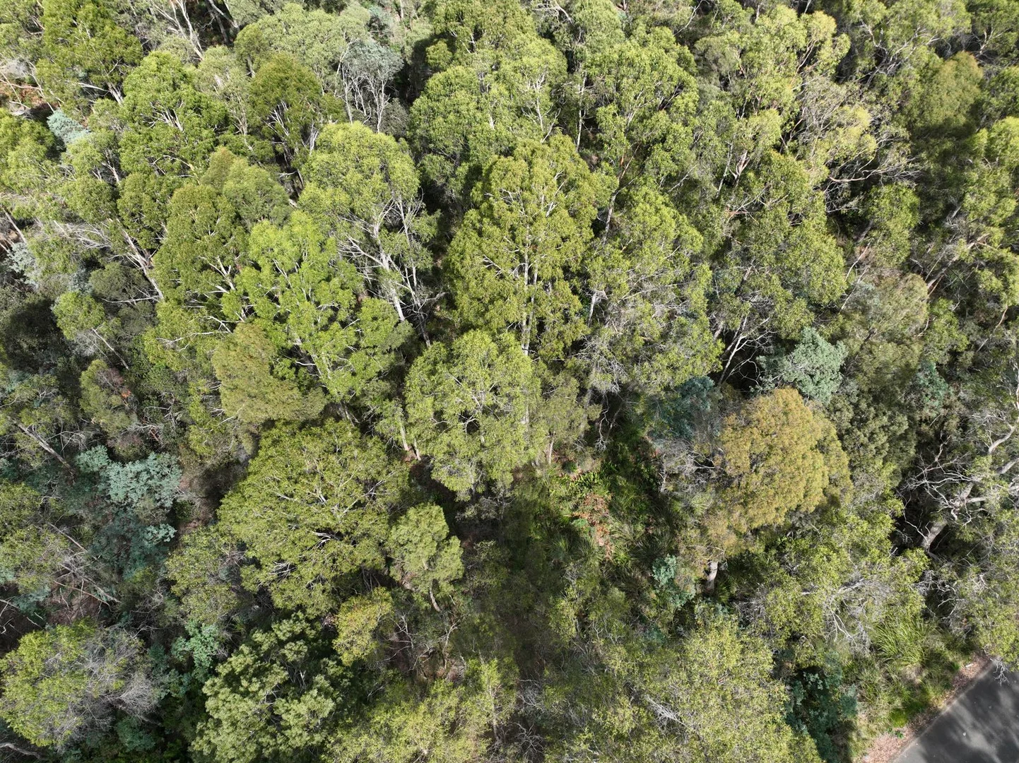 Additional image 5 of Part of 190 Porters Bridge Road, Exton TAS 7303