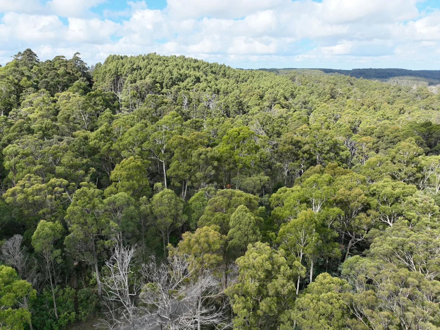 Additional image 4 of Part of 190 Porters Bridge Road, Exton TAS 7303