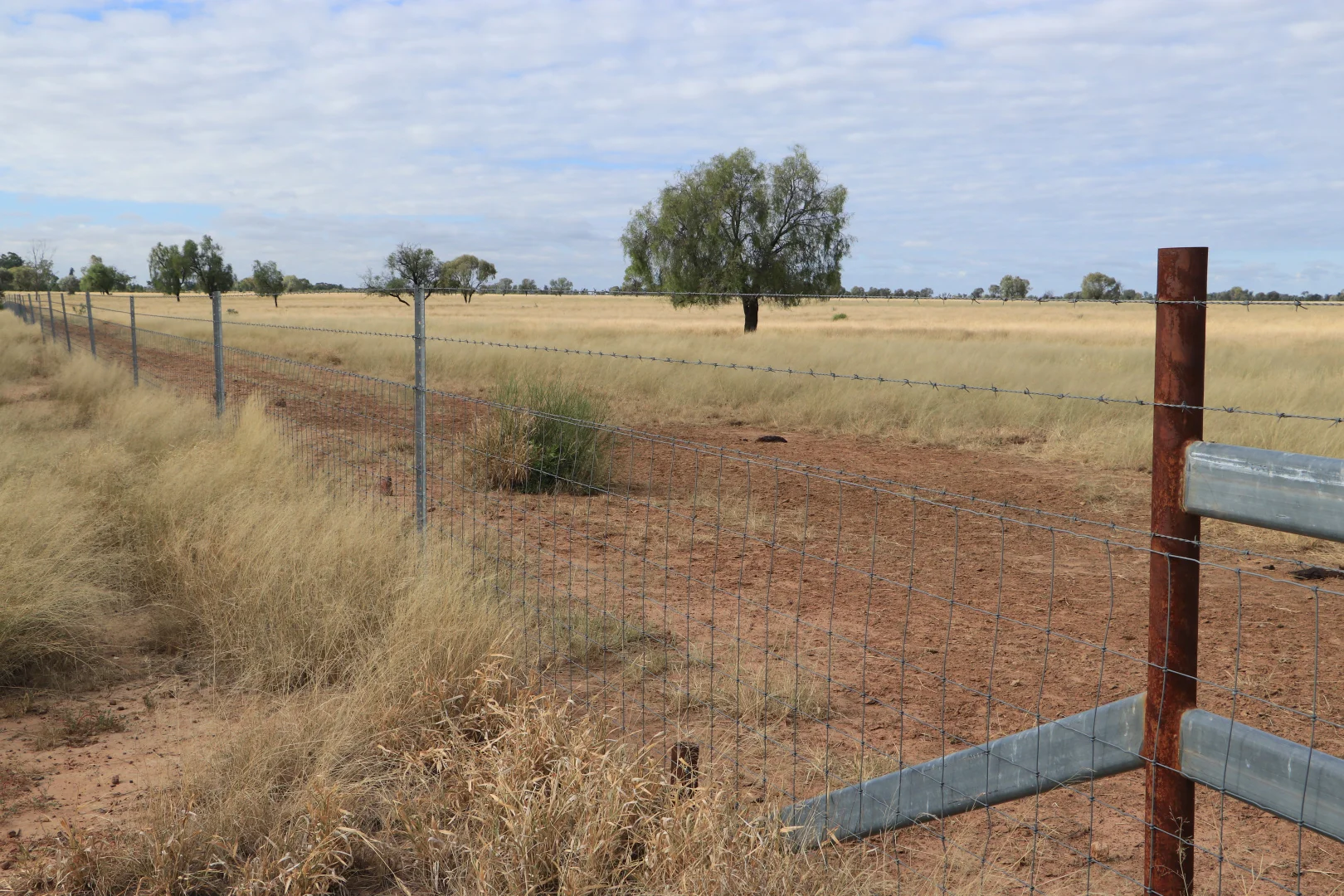 Additional image 18 of 13724 Mitchell - St George Rd, St George QLD 4487