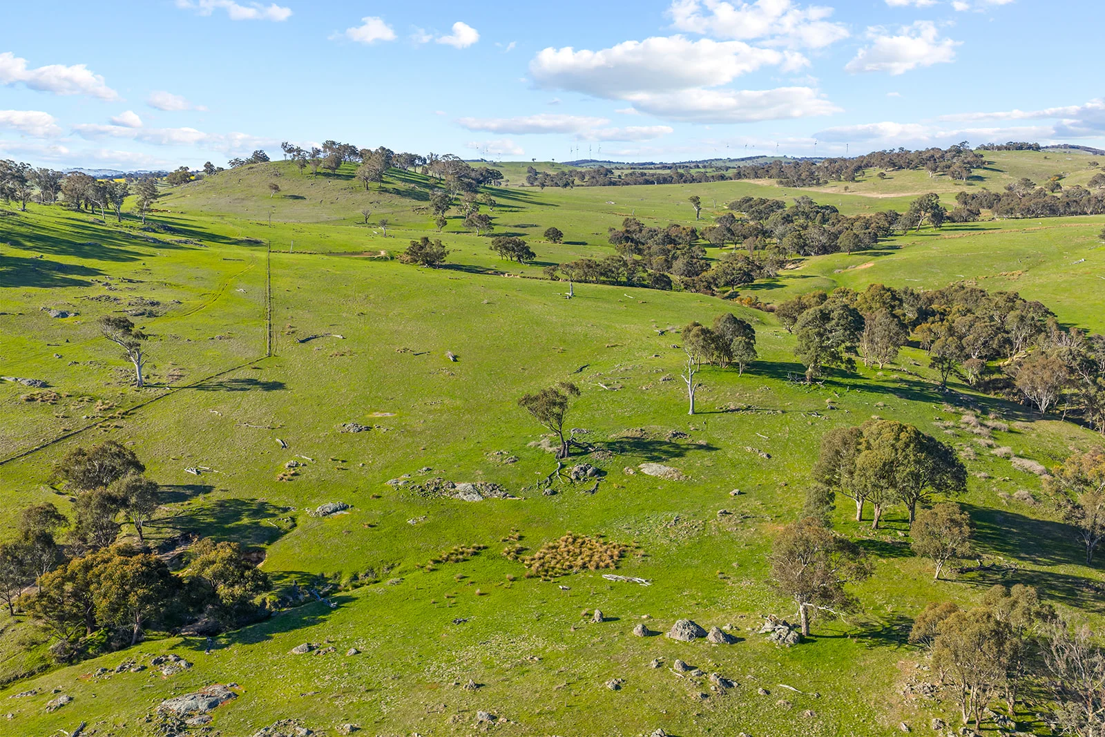 Additional image 30 of 1432 Lachlan Valley Way, Laverstock NSW 2582