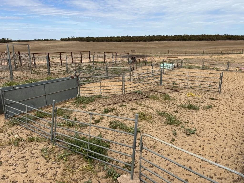 Additional image 20 of 9723 Tod Highway, Lock SA 5633