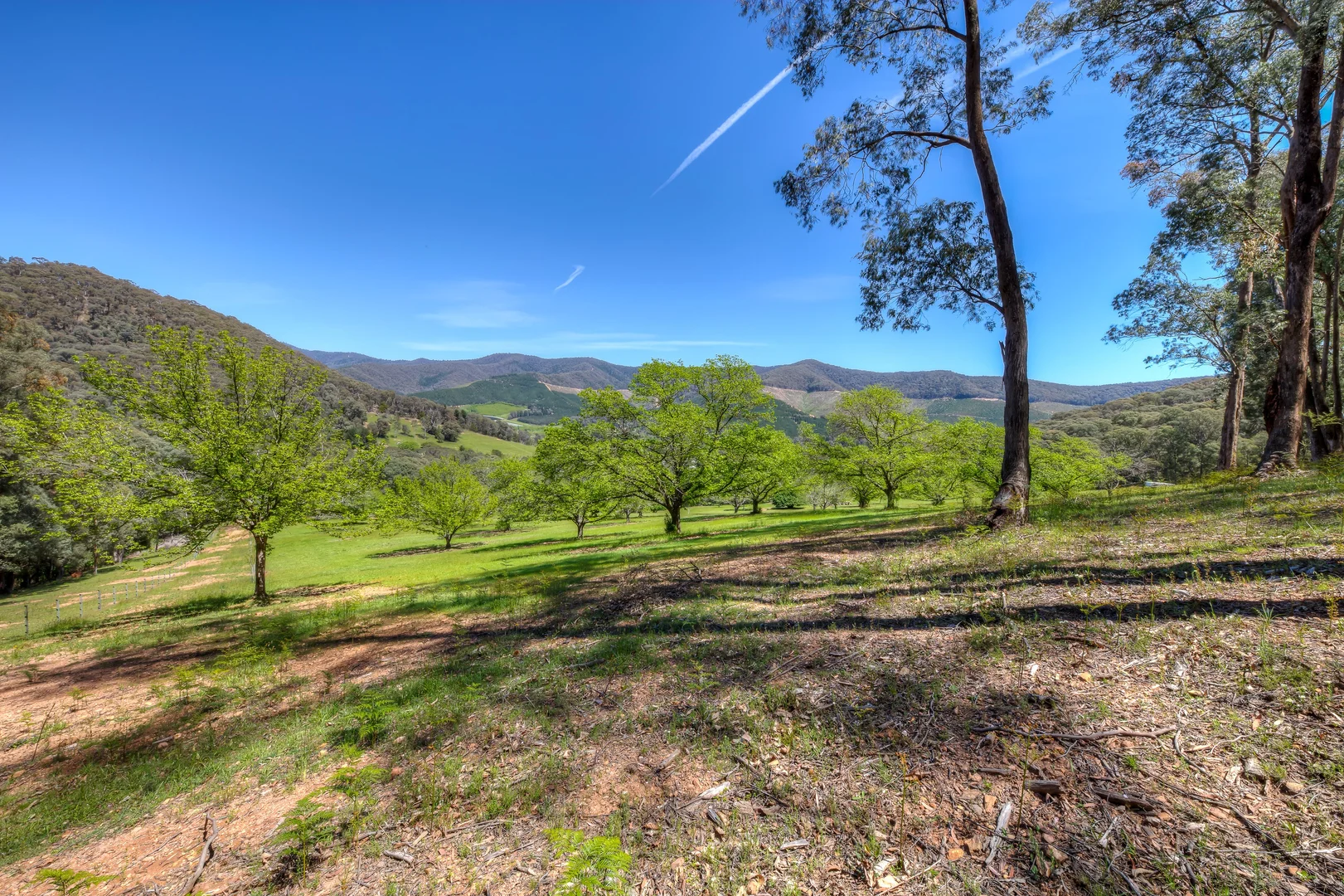 Additional image 9 of CA 34C Tobias Track, Wandiligong VIC 3744