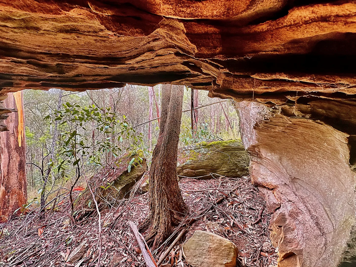 Additional image 24 of 780 Milsons Arm Road, Wollombi NSW 2325