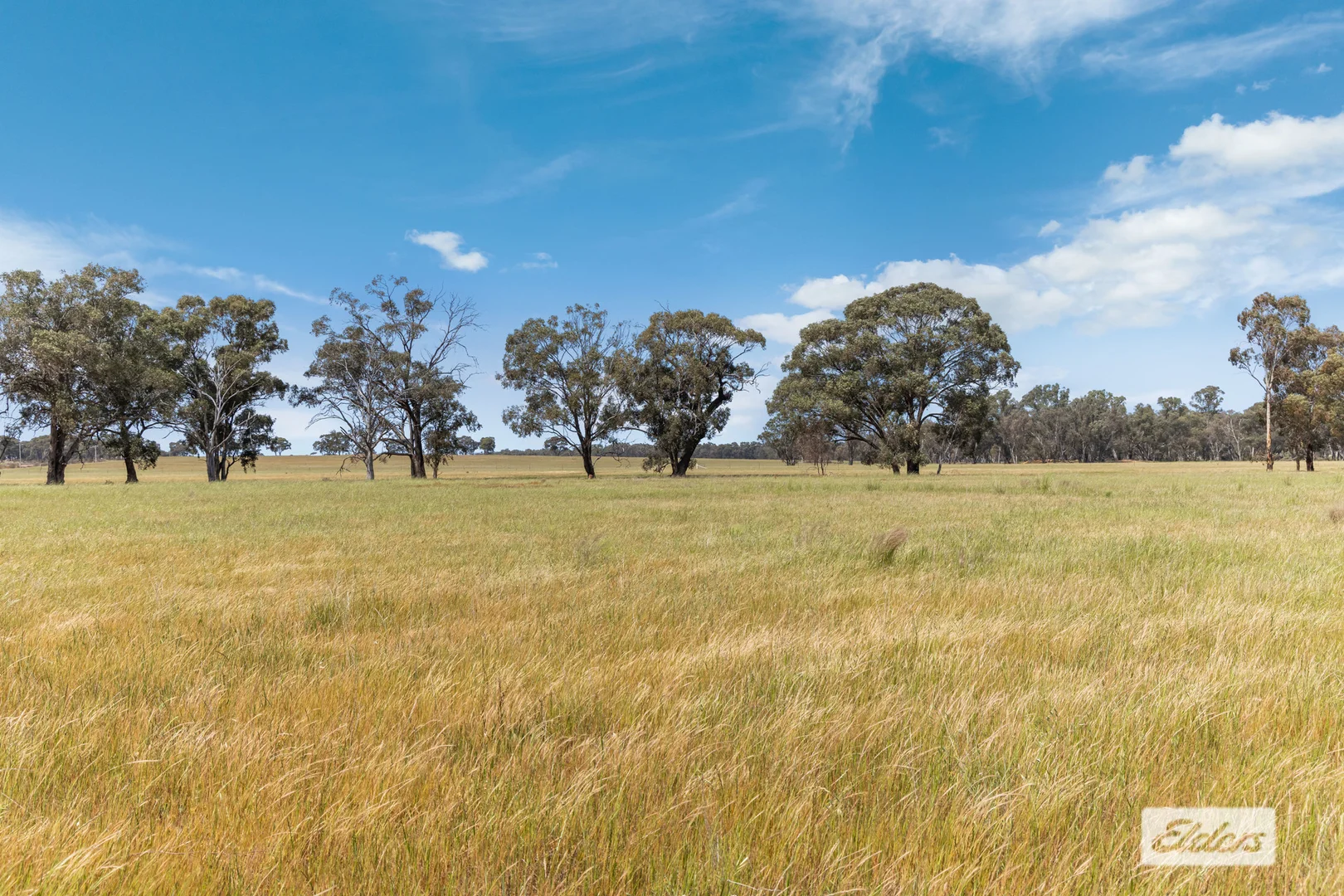 Additional image 9 of Three Chain Road, Woodvale VIC 3556