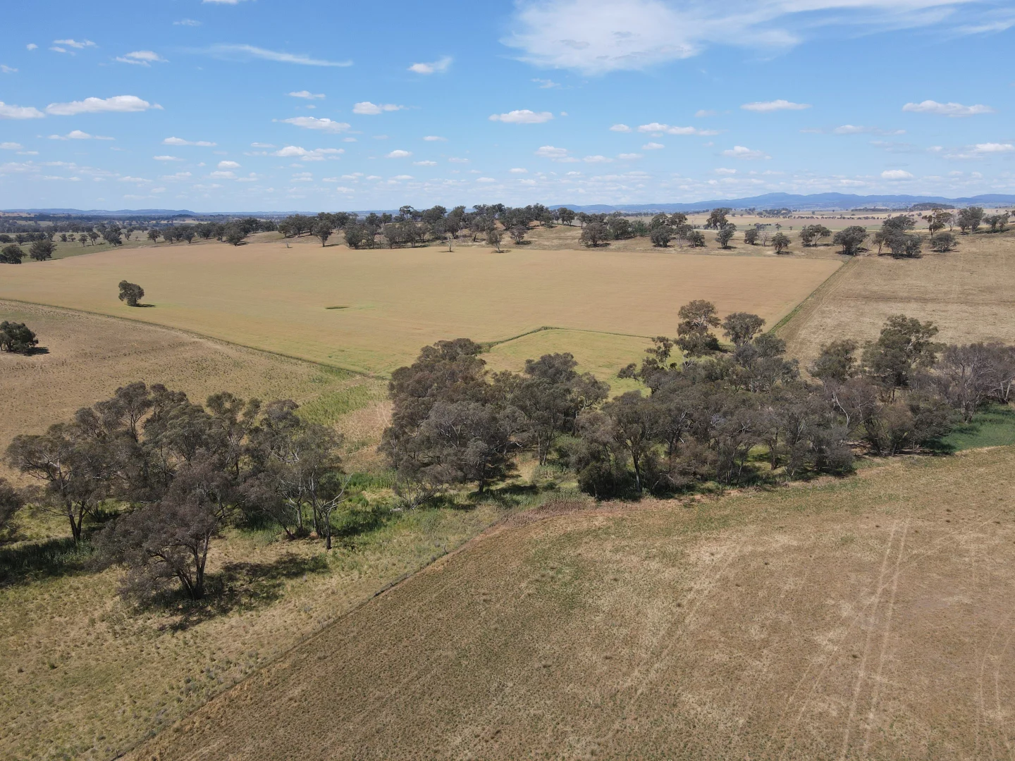 Additional image 6 of 1 Tremains Lane, Toogong NSW 2864