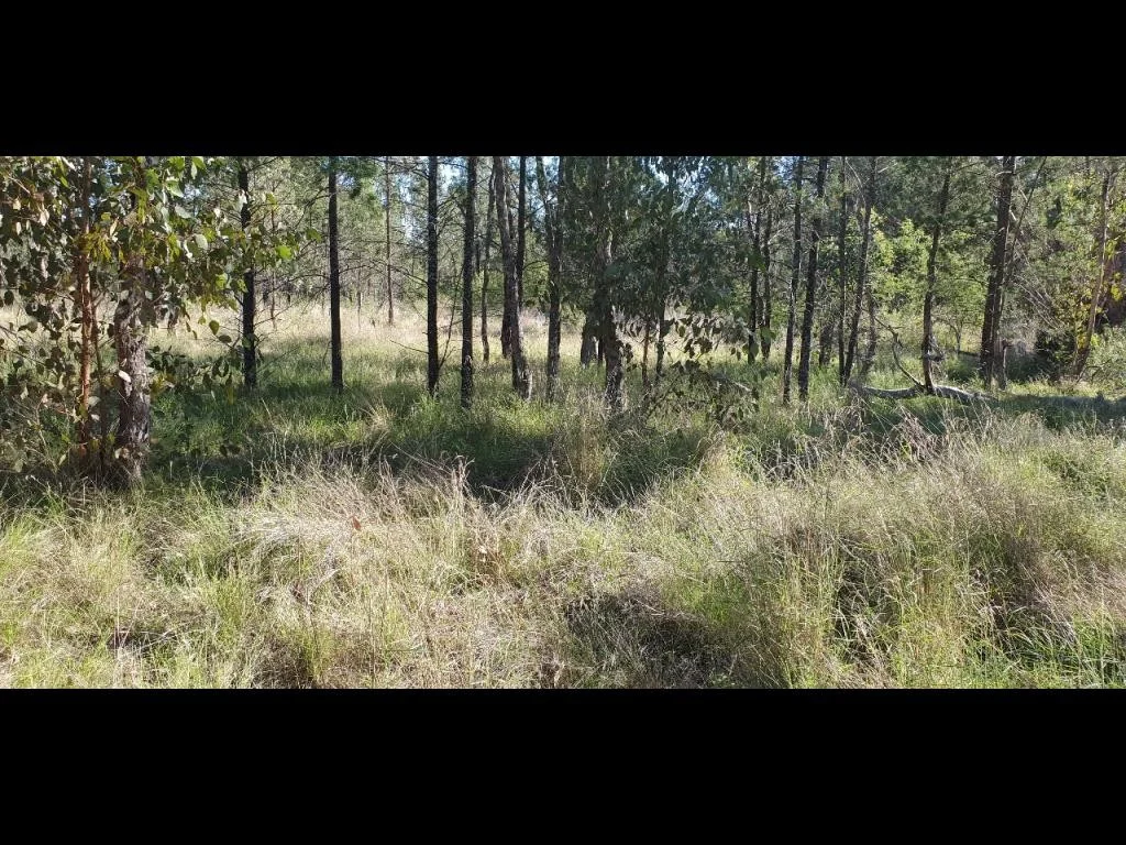 Additional image 6 of Limevale QLD 4384