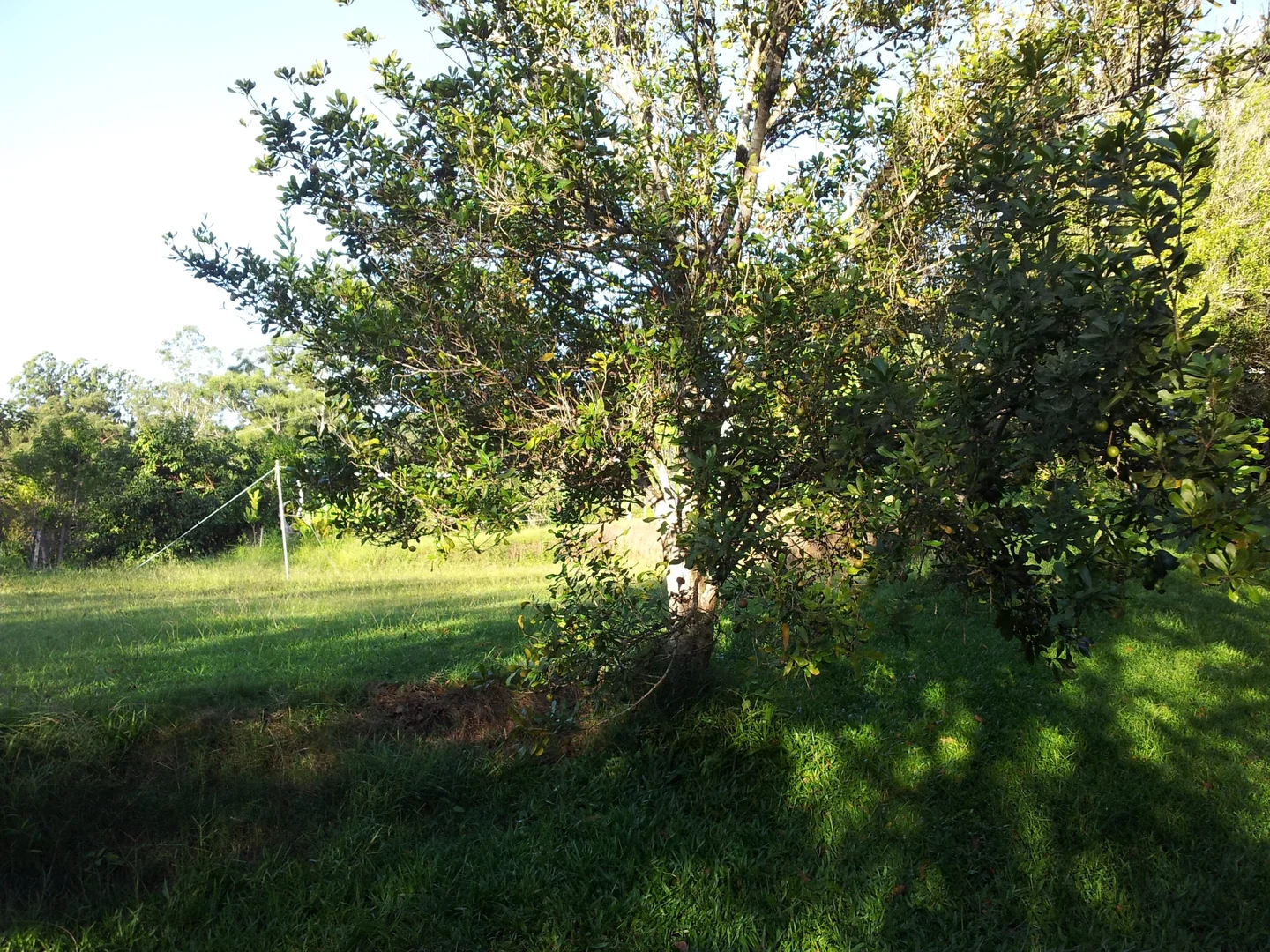 Additional image 27 of 74 Sudholz Road, Verrierdale QLD 4562