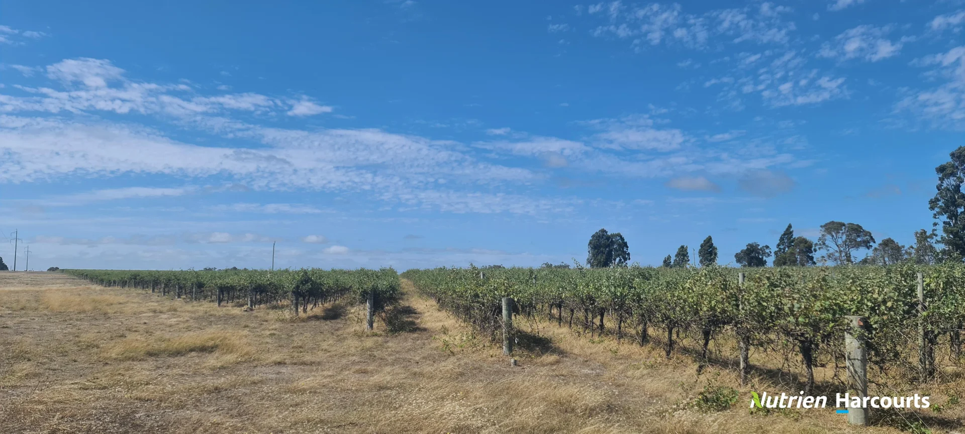 Additional image 3 of 267 Spencer Road, Narrikup WA 6326