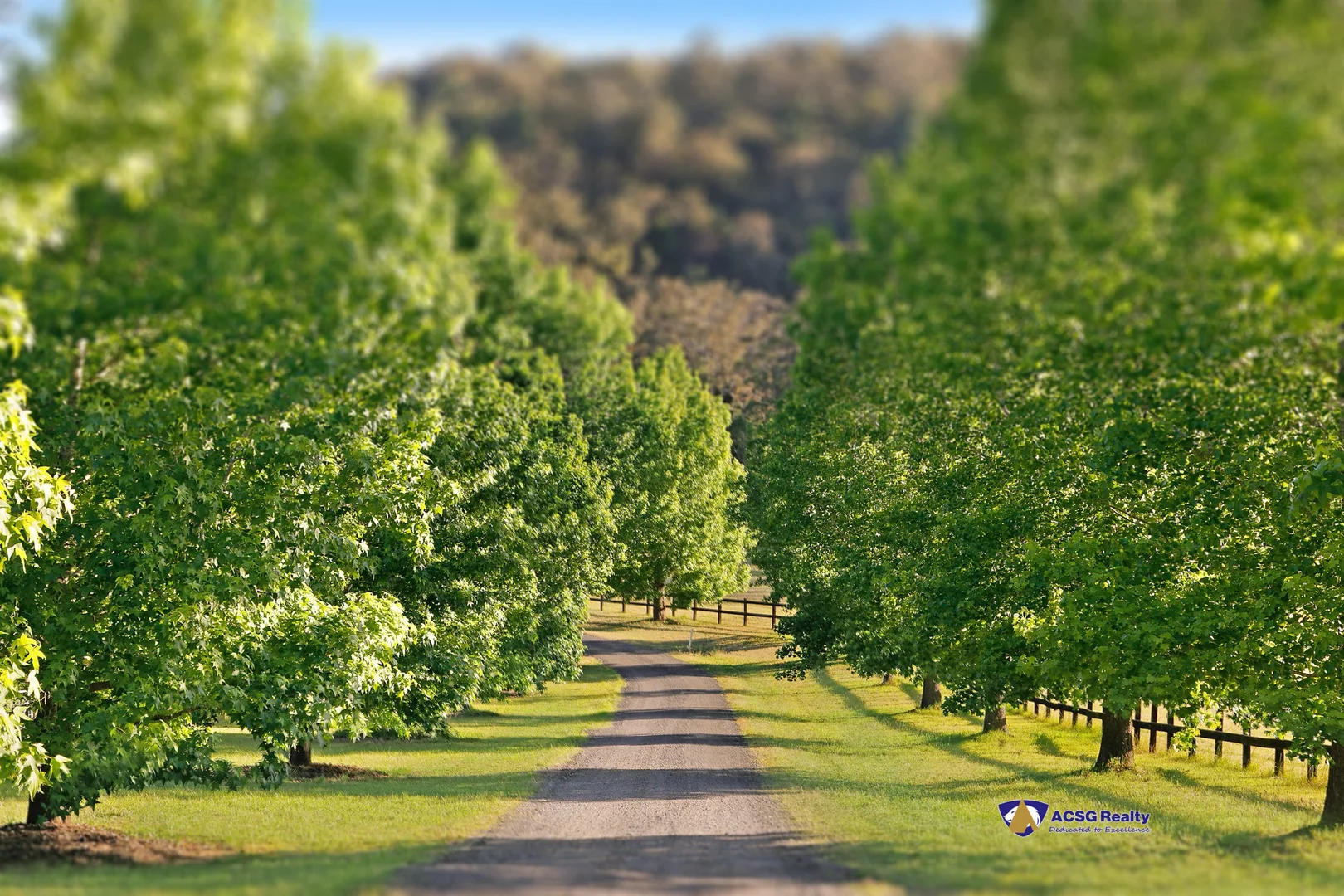 Additional image 3 of 41 Amber Lane, Wyong Creek NSW 2259