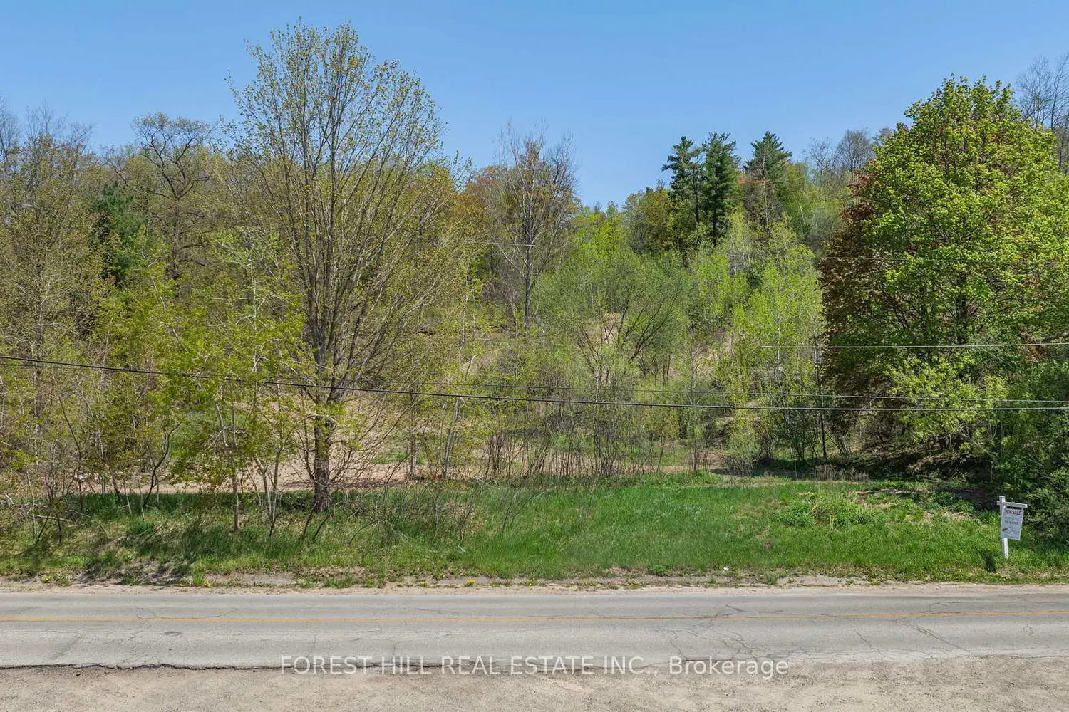 Additional image 6 of 22 Main Street