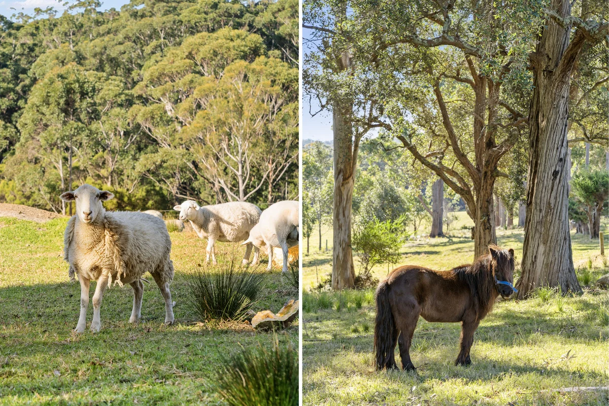 Additional image 6 of 43 The Heights, Narrawallee NSW 2539