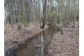 Additional image 22 of Old Bradley Rd, Mardela Springs, MD, 21837