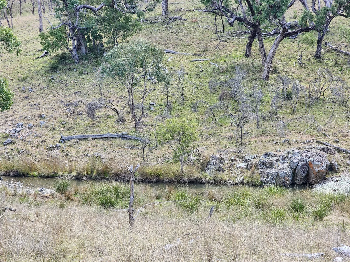 Additional image 8 of Lot 2 Stanthorpe Texas Road, Stanthorpe QLD 4380