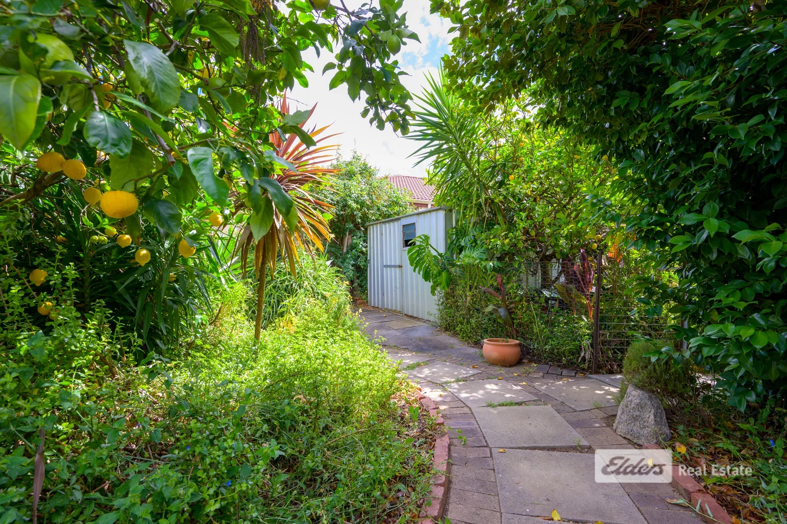 Additional image 24 of 28 Thomson Street, Donnybrook WA 6239