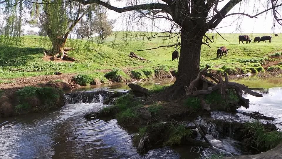 Additional image 4 of 14 Packs Grant Road, Cowra NSW 2794