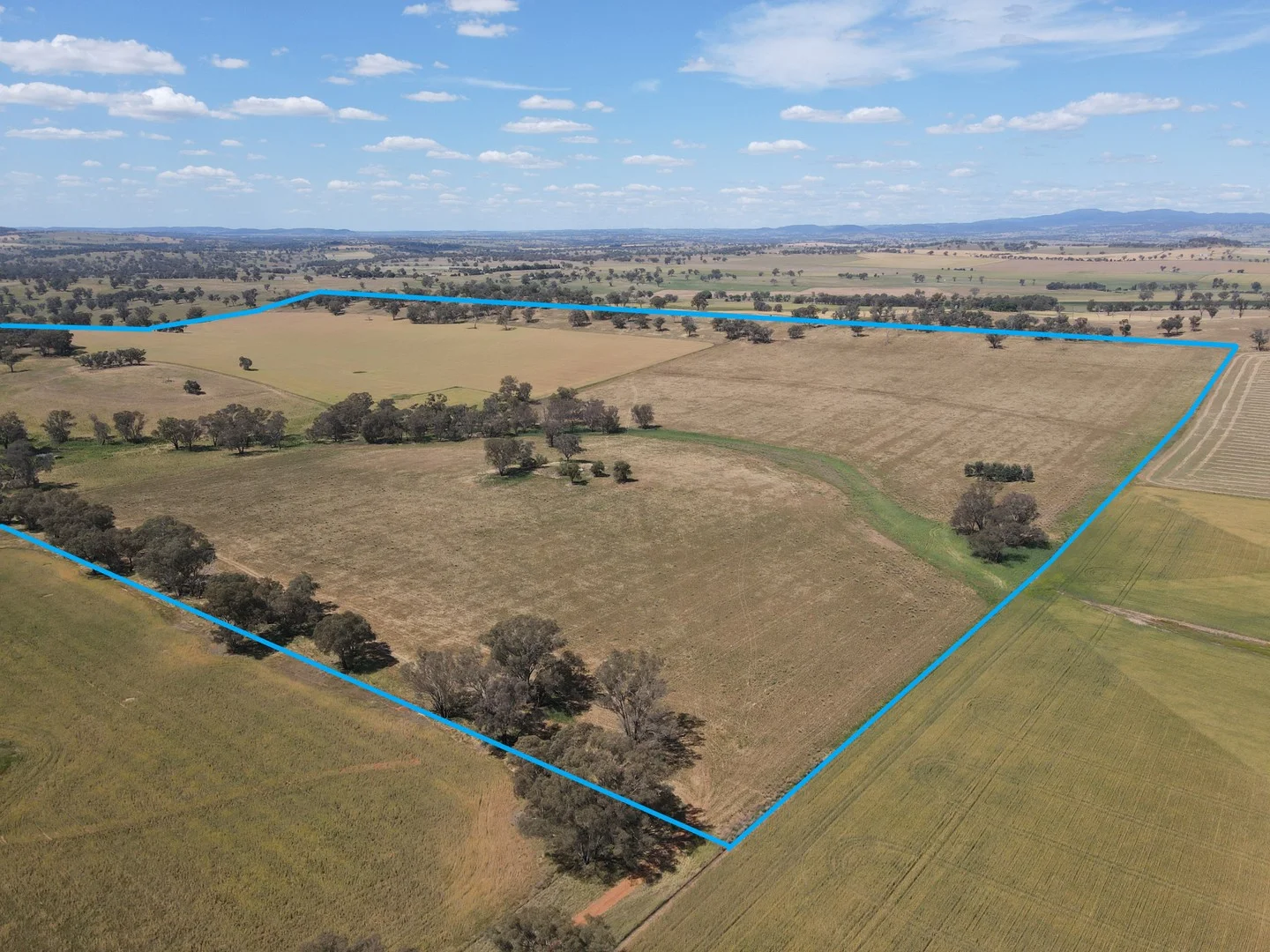 1 Tremains Lane, Toogong NSW 2864