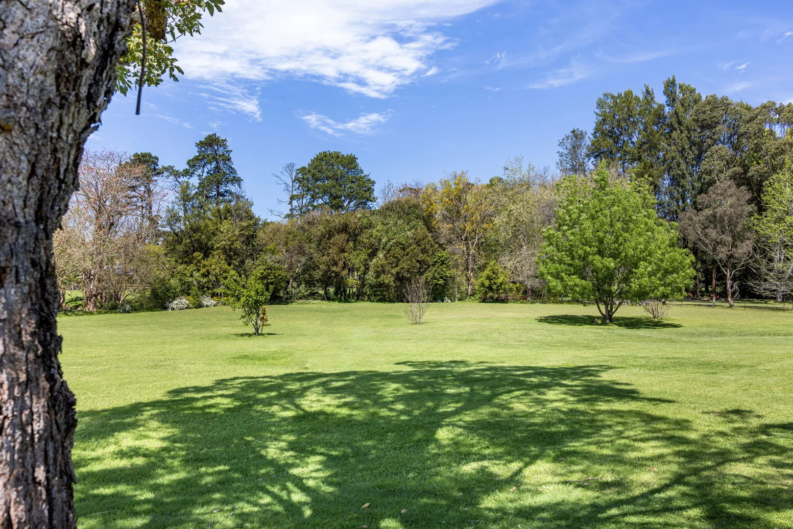 Additional image 19 of 8 Mount Vista Close, Berry NSW 2535
