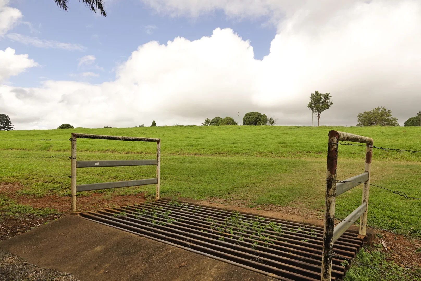 Additional image 38 of 1297 Mossman - Mt Molloy Rd, Julatten QLD 4871