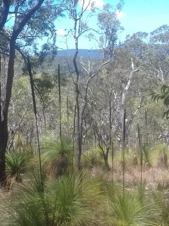 Additional image 11 of Lot 123 Two Chain Road, Koah QLD 4881