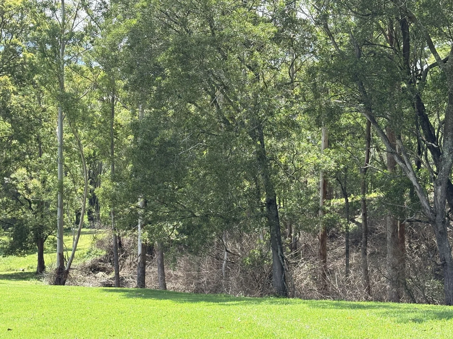 Additional image 28 of 65c Marden Lane, Kangaroo Valley NSW 2577