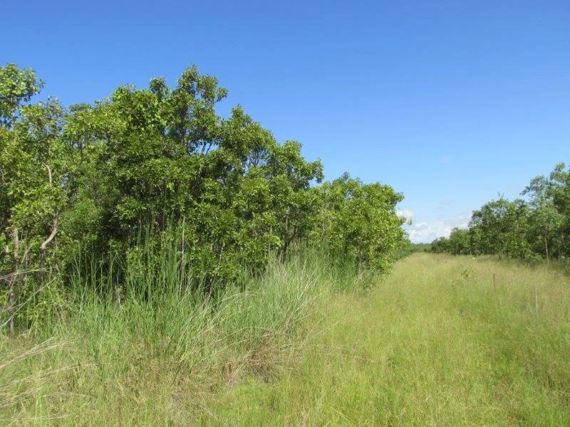 Additional image 9 of Acacia Hills NT 0822