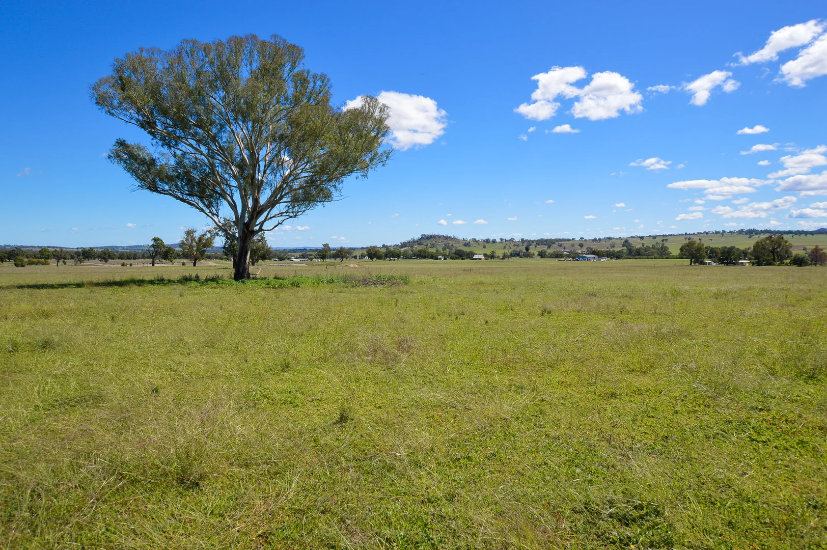 Additional image 14 of 156 Frog Rock Road, Mudgee NSW 2850
