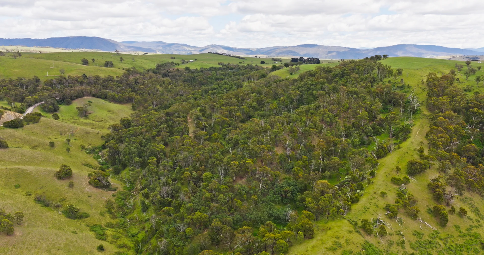 Additional image 7 of Lot 2 - 289 Tongio Gap Road, Tongio VIC 3896