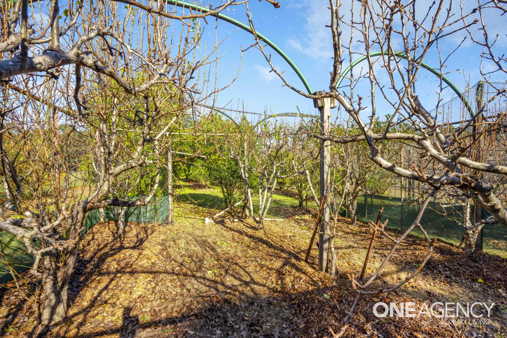 Additional image 15 of 353 Bendeela Road, Kangaroo Valley NSW 2577