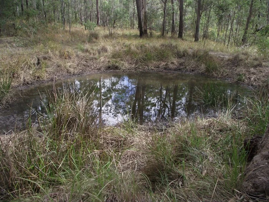 Additional image 11 of Stegemann Road, Upper Glastonbury QLD 4570