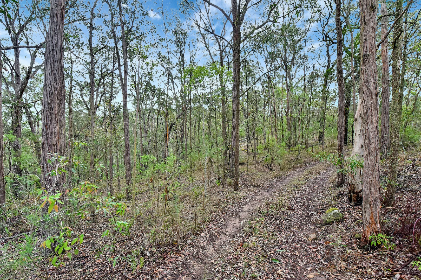 Additional image 25 of 780 Milsons Arm Road, Wollombi NSW 2325