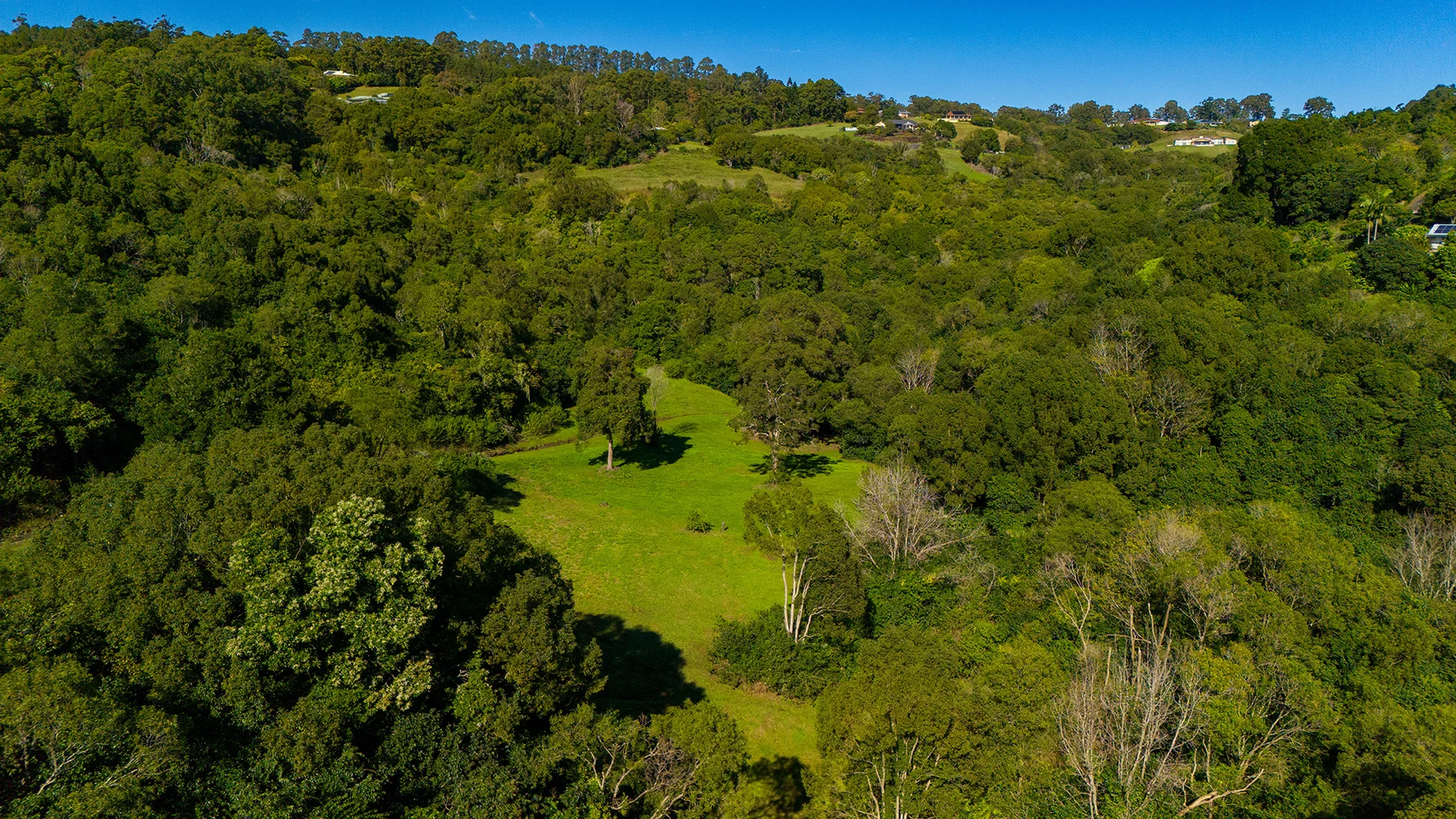 Additional image 11 of 48 Lincoln Avenue, McLeans Ridges NSW 2480