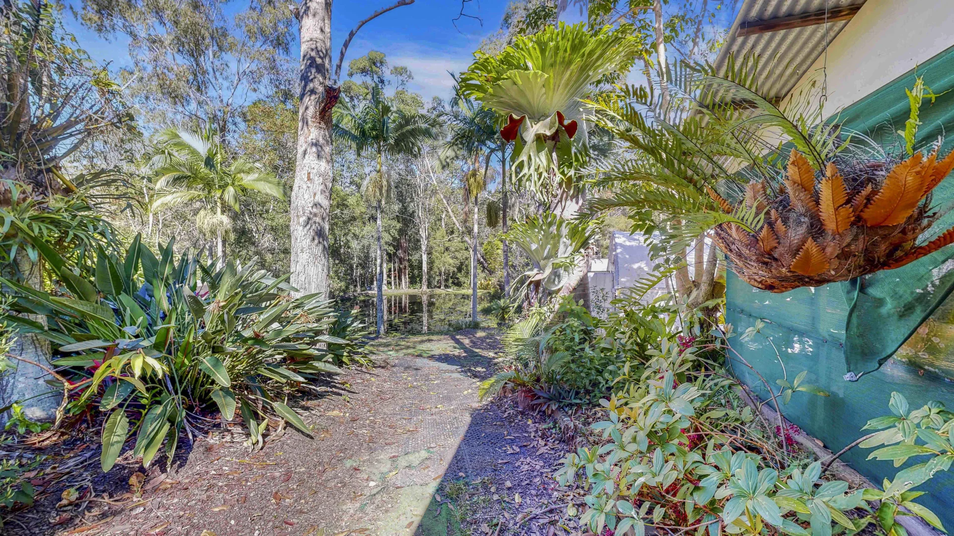 Additional image 31 of 10 Wilkes Court, Tinbeerwah QLD 4563