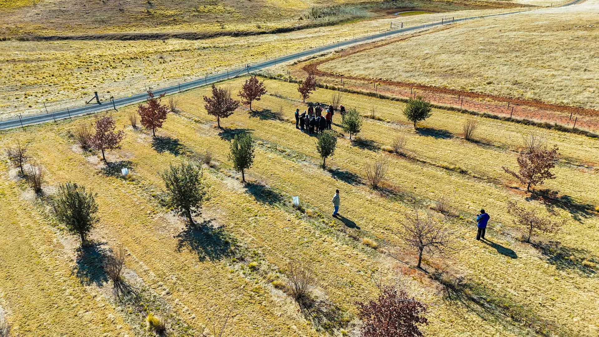 Additional image 24 of 230 Cappanana Road, Bredbo NSW 2626