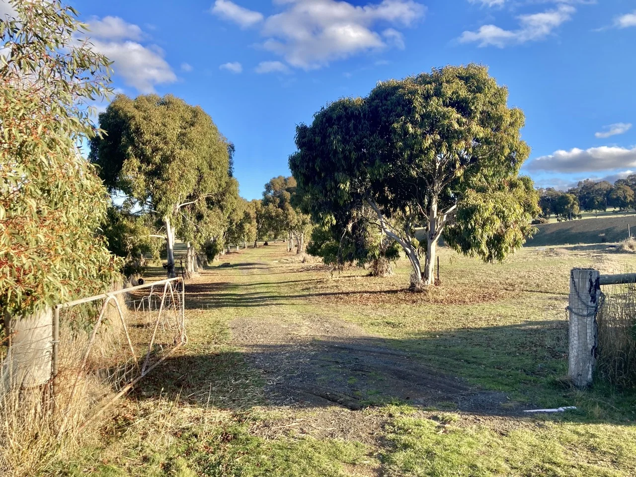 Additional image 3 of 355 Lillicur Road, Amherst VIC 3371