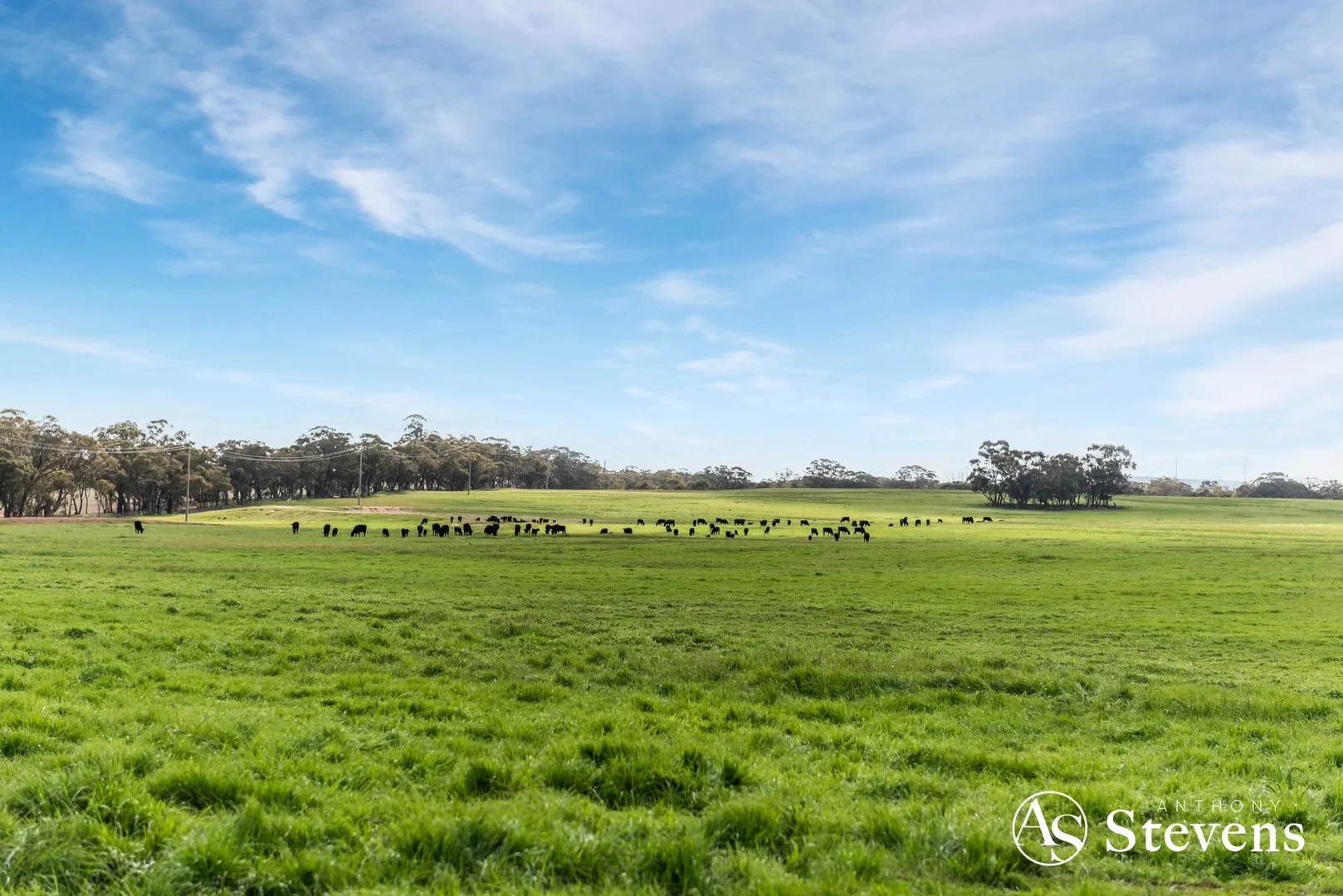 Additional image 12 of 499 Old Wedderburn Road, Slaty Creek VIC 3477