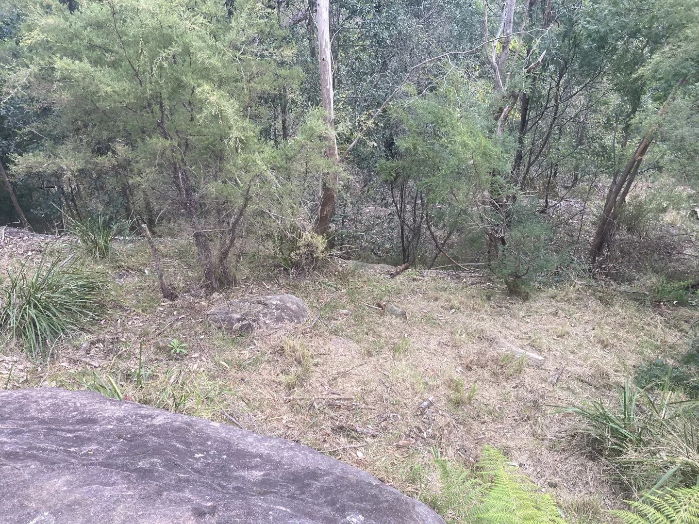 Additional image 9 of 23 Buena Vista Road, Winmalee NSW 2777