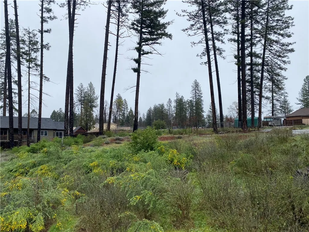 Additional image 16 of 8941 Skyway, Paradise, CA 95969