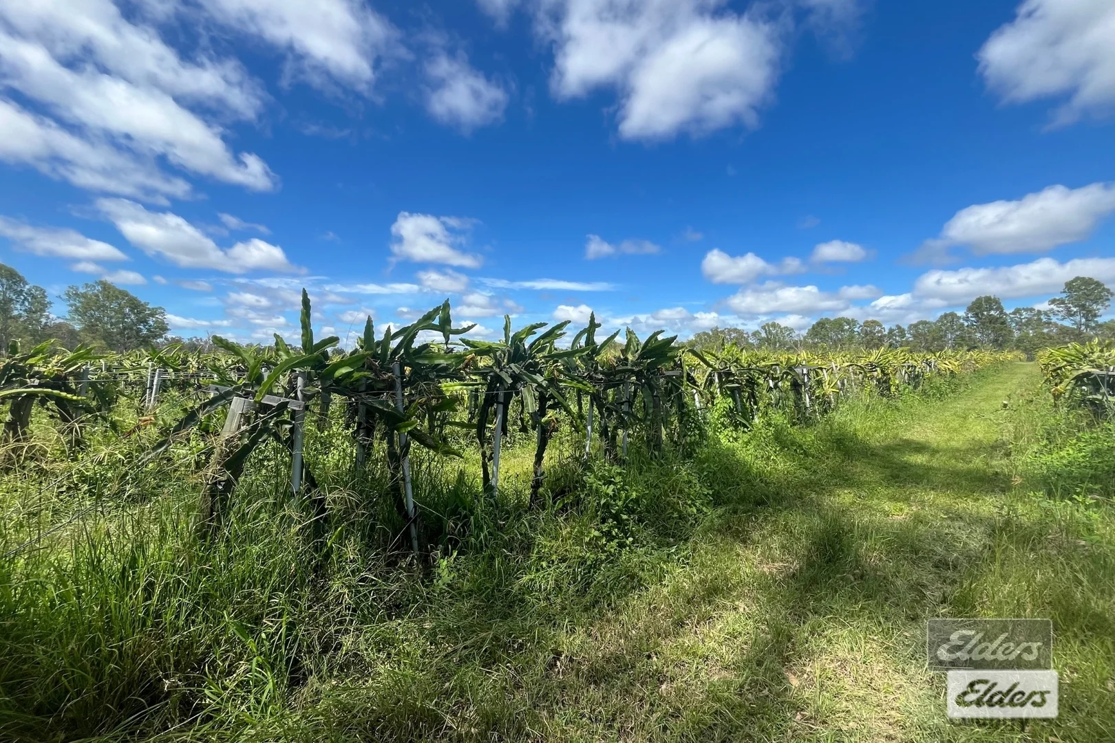 Additional image 4 of 288 Blowers Road, Munna Creek QLD 4570