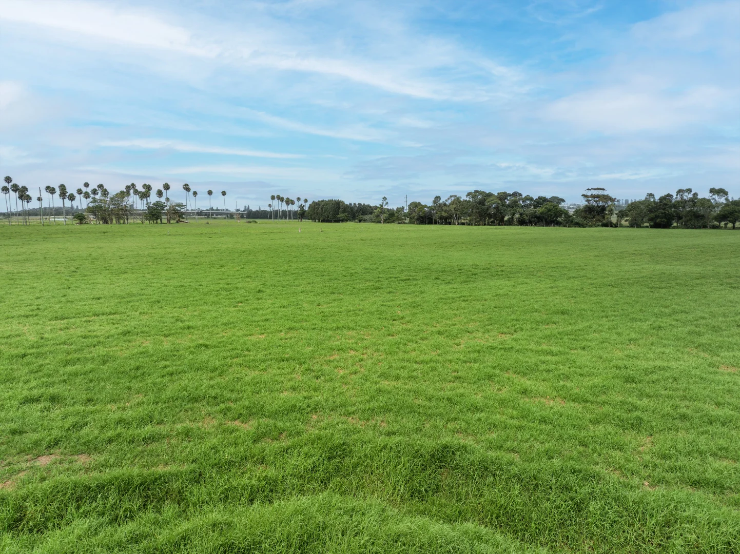Additional image 19 of Lot 3002 - Alne Bank Rose Valley Road, Rose Valley NSW 2534