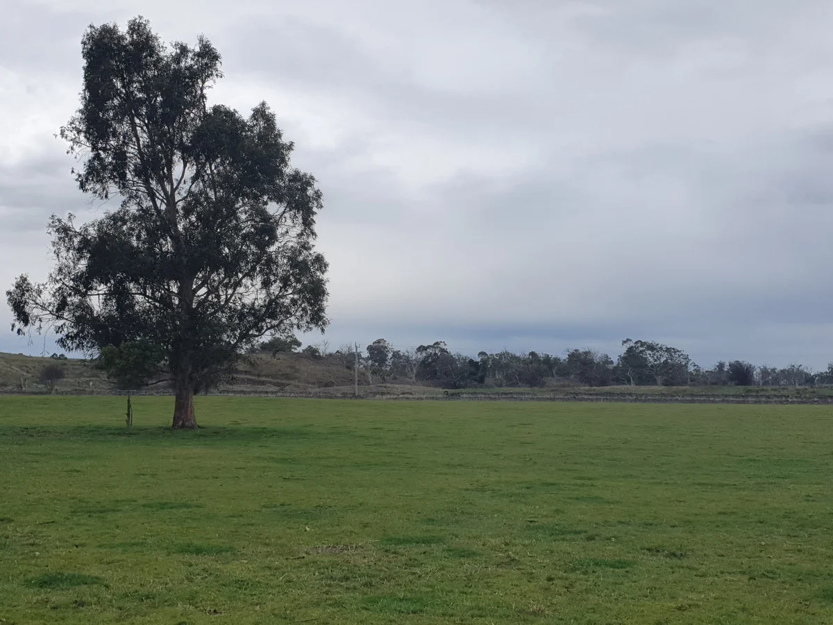 Additional image 4 of 546 Koallah Pomborneit Road, Koallah VIC 3260